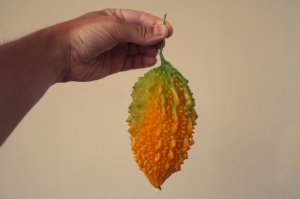 У нас еще вот такое растет!