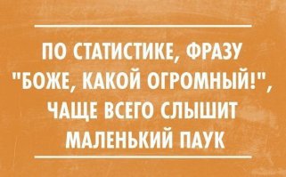 23 открытки с отборным юмором