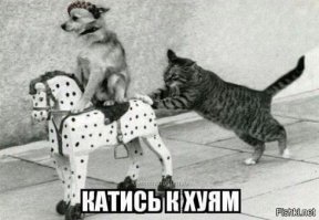 Сам то понял что сказал <span style='color:gray'>[мат]</span>?