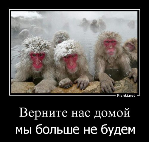 Боевиков ИГИЛ сошлют в Сибирь и сделают рабами, — «Голос Ливии»