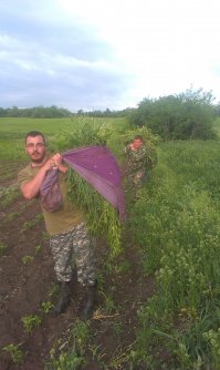 только подумал, что аццки тяжело вручную косить, по себе знаю. 5 минут косишь, потом 10 минут отдышаться надо)