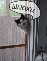 Женщины русской сексуальной революции