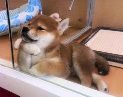 Жена ушла к другому