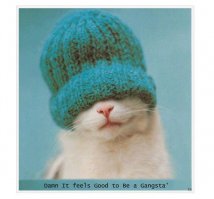 Только посмотрите, что сделали хозяева для своих питомцев