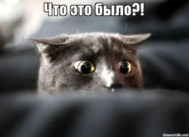 Чудики из социальных сетей