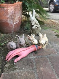 Фотоподборка за 20.10.2015