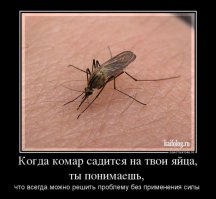 До сох пор помню, как в детстве на даче у пруда загорал на травке и меня укусил муравей в зaлyпy....
