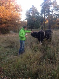 Юго запад Москвы Сегодня 20 октября 2015 года примерно с 16ч до 17ч