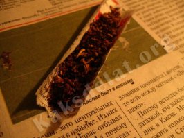 Выбрасываете окурки? Очень зря!
Пересыпьте остатки табака в банку, а после закрутите в газетку!
