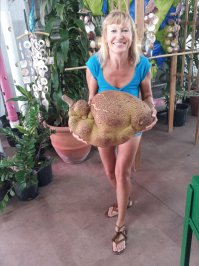 На последней фотографии Джекфрут-самый крупный фрукт растущий на дереве. Правда,съедобная часть составляет 30-35% от всего объема. Ну очень вкусная.