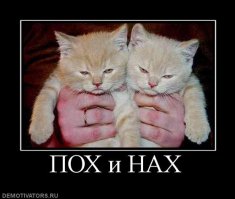 25 великолепных фото, демонстрирующие архитектуру Дубая