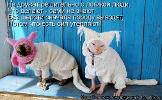 Только посмотрите, что сделали хозяева для своих питомцев