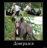 Знаменитости, у которых есть двойники другой расы