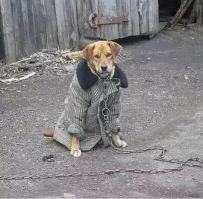 Холодает