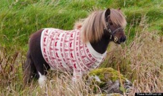 Ну, и классика