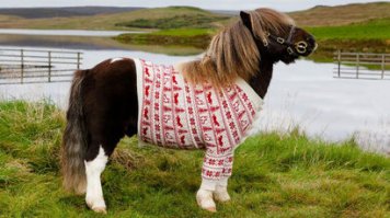 Ну, и классика