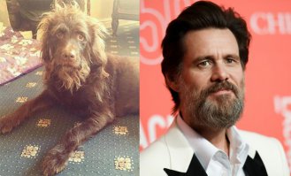 Прикольные картинки