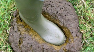 Тоже вспомнил историю:
Летом играли в волейбол на берегу лесного озера. Край озера зарос высокой осокой (трава такая). И вот мы в купальниках и плавках играем. После одного удара мяч летит в траву. Самый резвый из нас бросается за мячом не глядя под ноги, и, вдруг падает как подкошенный поднимая над собой содержимое, которое изображено на фотографии. После, под действием земного притяжения это же содержимое опускается вниз на лежачего. Смеху было...!