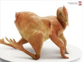 Как вам такая цыпочка? )))