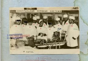 Бред с РенТВ