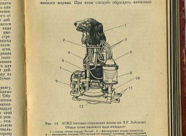 Бред с РенТВ