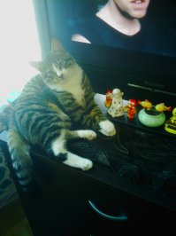 Моего тоже Марсом зовут (сокращенно от Марселя)