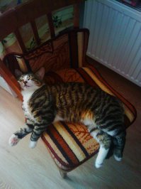 Моего тоже Марсом зовут (сокращенно от Марселя)