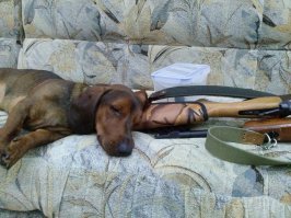 мои чудовиСЧи