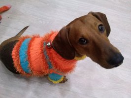 мои чудовиСЧи