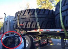 Вот этот момент на фото лучше чем сами колеса!!!))))