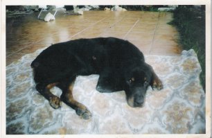 последнее фото---ДРУГА!!!!!!!!!!!!!!!!!!!!!!!!!!!!!