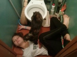 кот похоже тоже бухал - у него сушняк