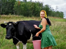 Решил запостить свой самый любимый вид