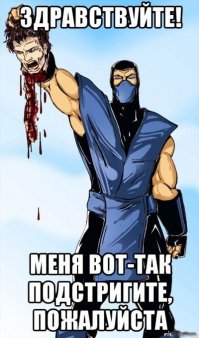 Сумасшедшие стрижки. Вот что получается, когда работает дилетант 