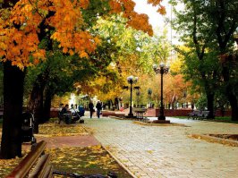 Вы уж извините, камарады, что-то я выпимши англо-сакского самогону хочу вам свой родной город показать, свой родной Донецк (фото не мои):