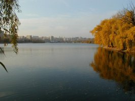 Вы уж извините, камарады, что-то я выпимши англо-сакского самогону хочу вам свой родной город показать, свой родной Донецк (фото не мои):