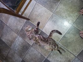 А моя только так предпочитает отдыхать