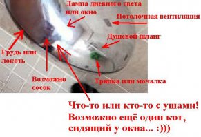 Специально для вас, чтоб было понятнее, повернул картинку и подписал где что вижу...
И нашёл котообразный контур. Есть маленькая вероятность, что кошек в этом доме больше одной. ;)