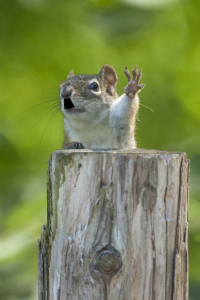 Фотоподборка за 21.10.2015