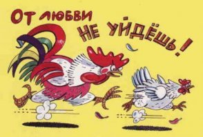 9 фактов о любви