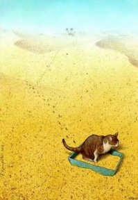 Как спят коты