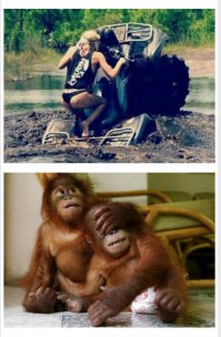 Сочетание фоток порадовало