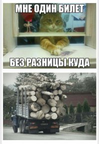 Знаки...они везде...а мне ещё на работу сегодня ехать