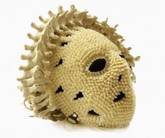 Юлия Тимошенко