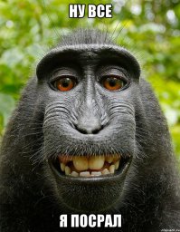 15 фотографий, доказывающих, что мир несправедлив и несовершенен