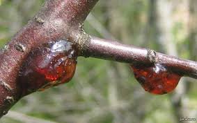 Кто в теме,тот поймет:)