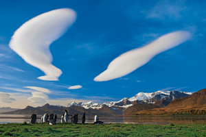 ну, не по пояс конечно, но местами довольно зелено...