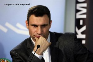 10 животных, интеллект которых близок к человеческому