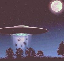 30 нереальных оптических иллюзий, которые перевернут твое сознание. Бесподобное искусство!