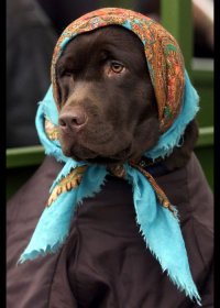 Ага! И сестрам...:)